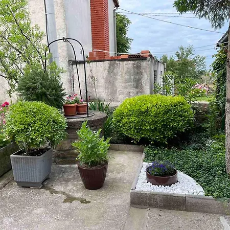 Pr Sterni - Hrvatini 187 Apartment Ankaran
