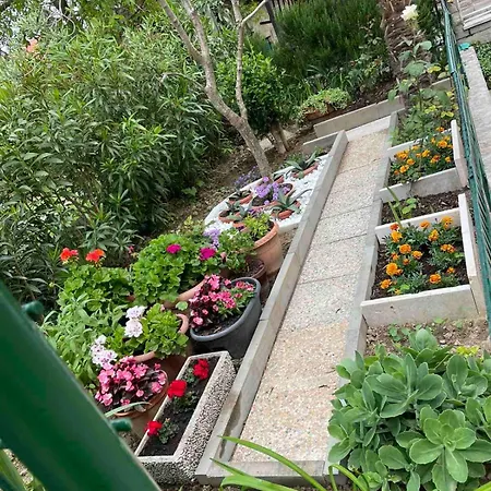Apartment Pr Sterni - Hrvatini 187 Ankaran